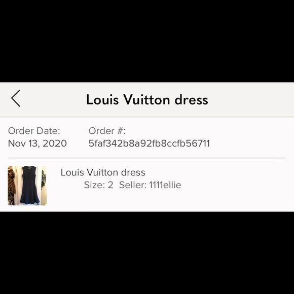 Louis Vuitton A-line Dress - Picture 2 of 6